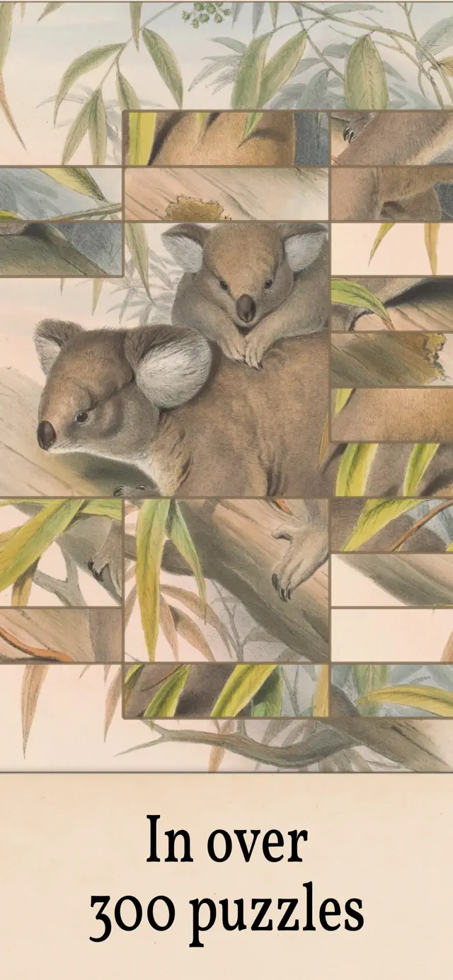 screenshot2