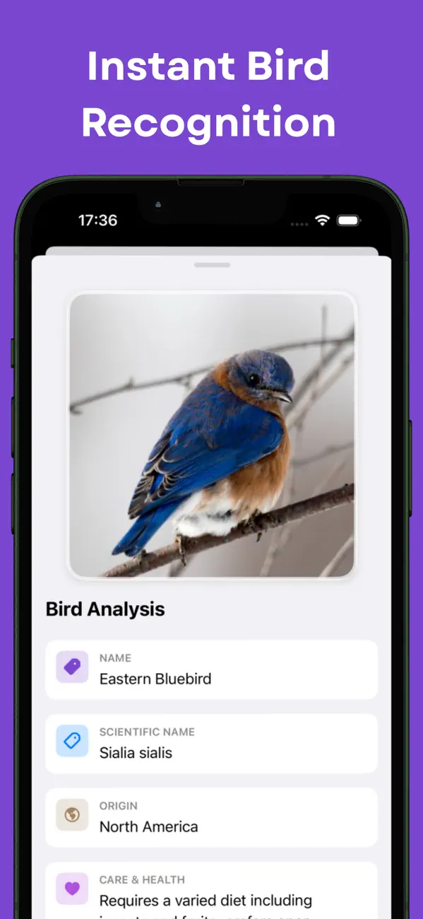 Screenshot #2 pour Identificateur Oiseaux AI