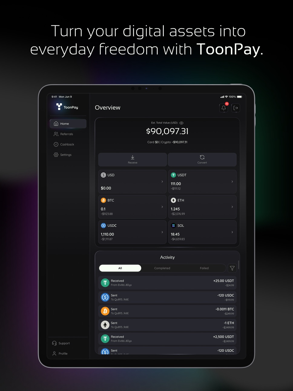 iPad screenshot