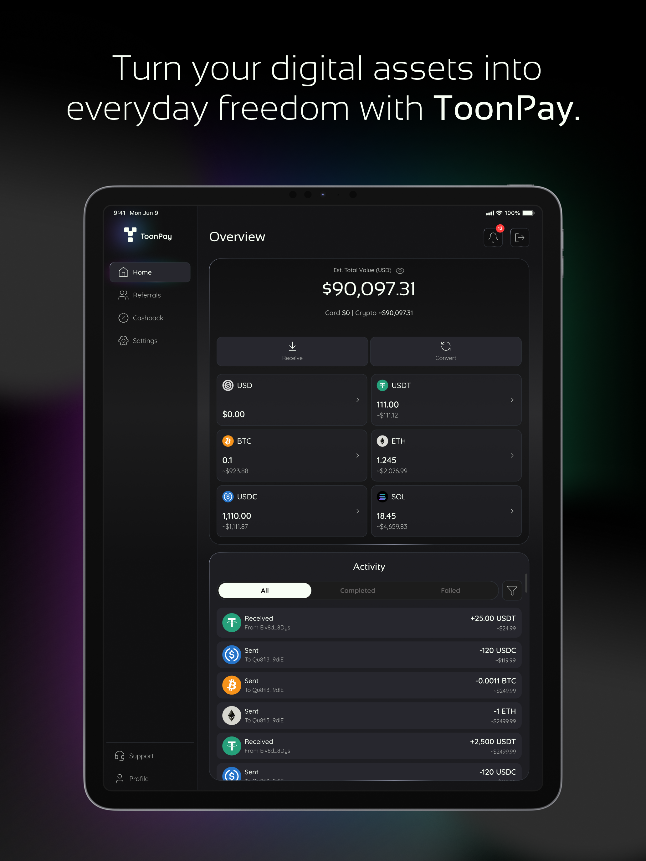 ToonPay