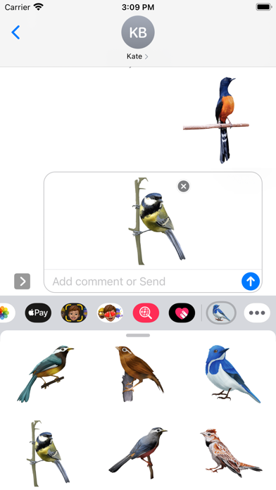 Bird Life Stickers Screenshot