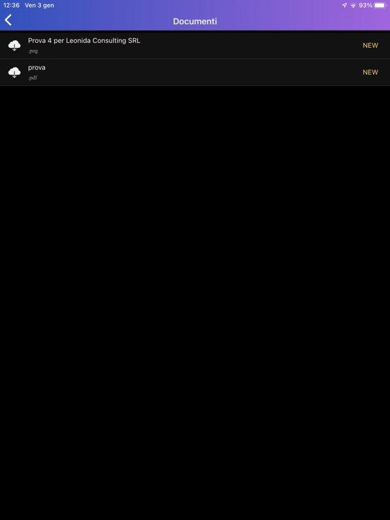 Leonida Consulting SRL