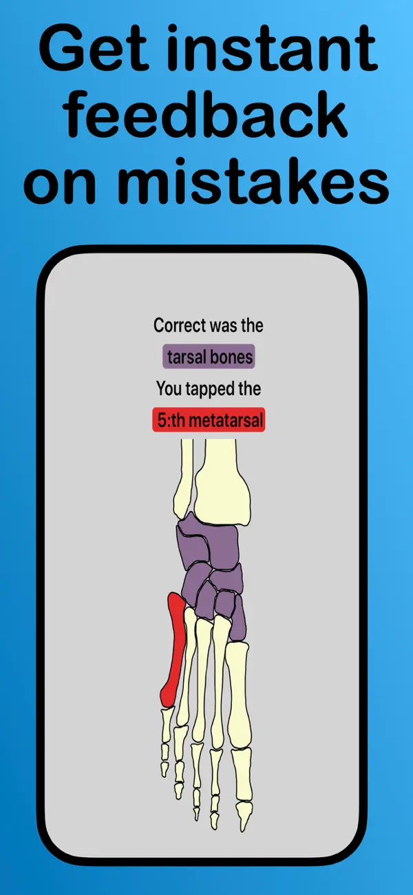 Screenshot #3 pour Bones of the body