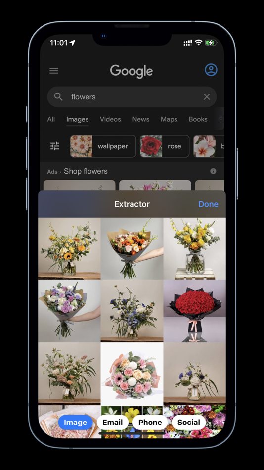 #1. Extractor for Safari (macOS) 게시자: 磊 汪