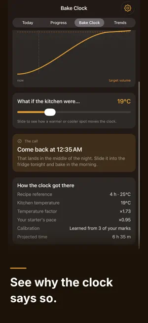Sourdough Proof & Feeding Log screenshot 2