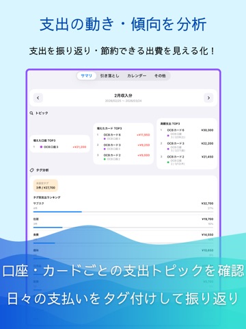 クレジットカードの引き落とし管理「Ochibi」 iPad screenshot