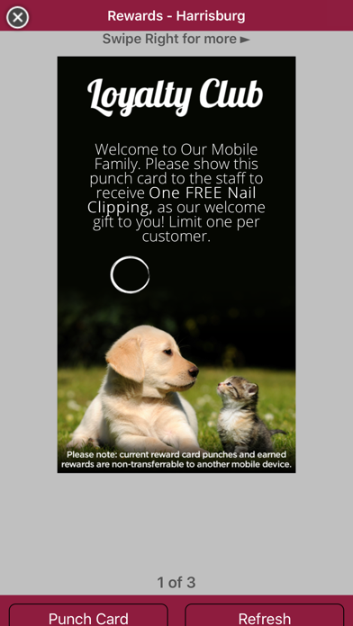 Pet Authority Grooming Center Screenshot