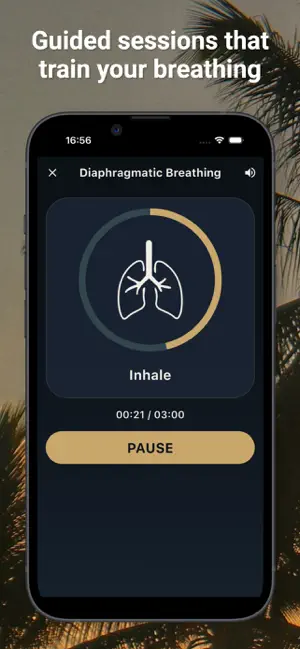Lung Breathing Exercise screenshot 3