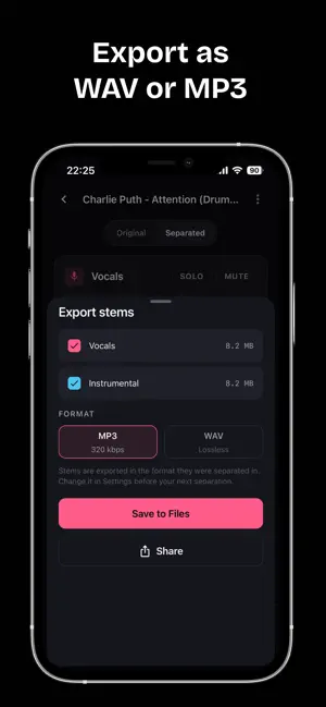 Vocal remover: Audio separator screenshot 4