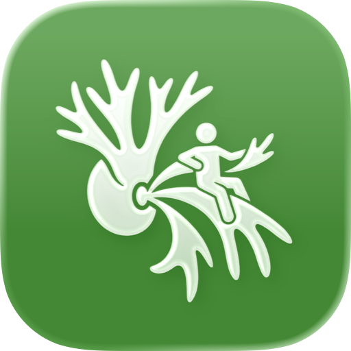 Fern: Plant Journal & Care