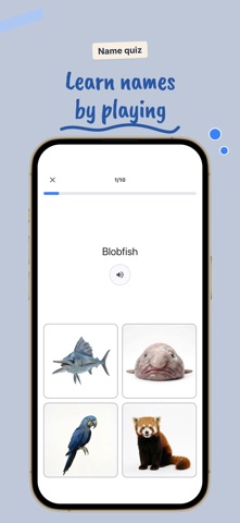 Igomoya: Picture Quiz screenshot 2