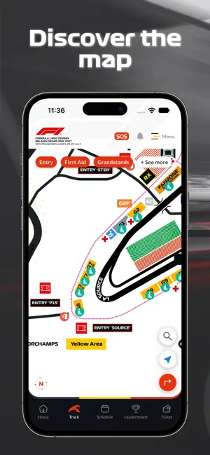 Formula 1 Belgian Grand Prix screenshot 2