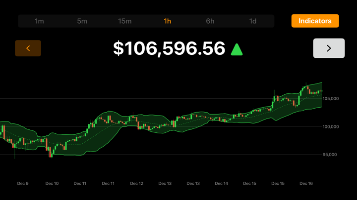Screenshot #2 pour Bitcoin TV Live