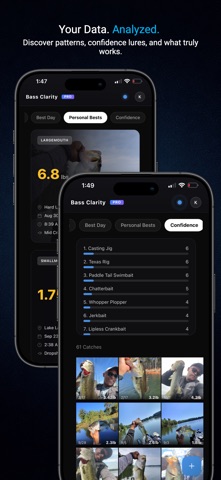 Bass Clarity Screenshot 8 of 9