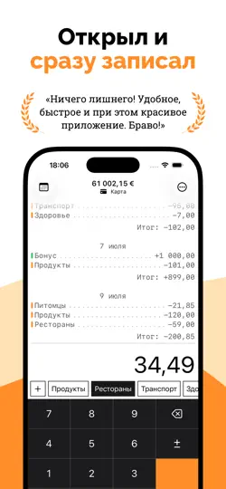 Скриншот Spent - доходы и расходы на iPhone 1