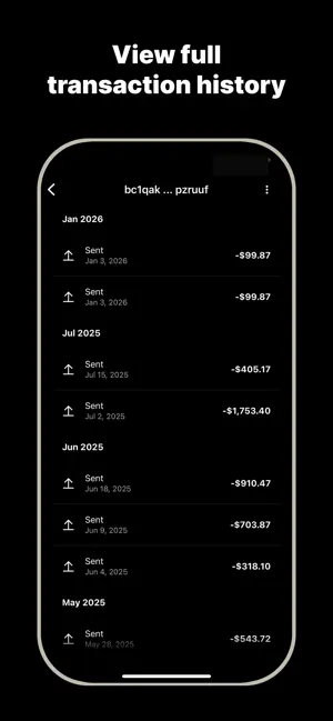 Bitcoin Tracker - BitScout screenshot 3