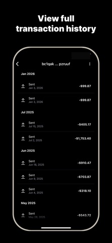 Bitcoin Tracker - BitScout Screenshot 3 of 5