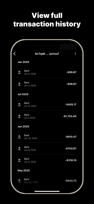Bitcoin Tracker - BitScout Screenshot 3 of 5