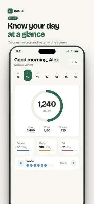 Kcal-AI screenshot 1