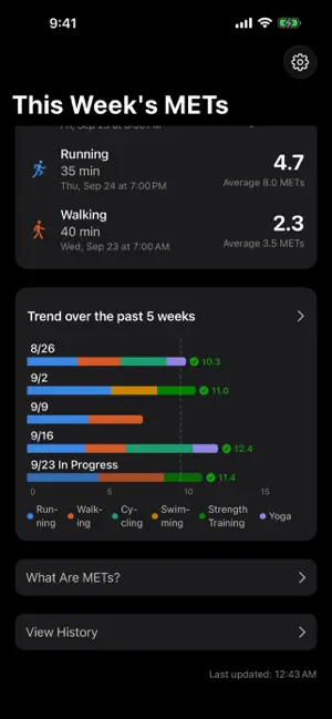 METsTracker screenshot 2