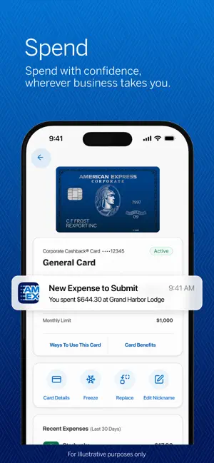 Amex Expense screenshot 2
