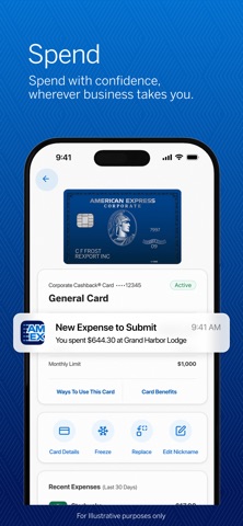 Amex Expense screenshot