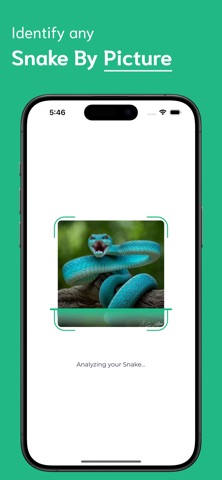 Snake Identifier - SI iPhone screenshot