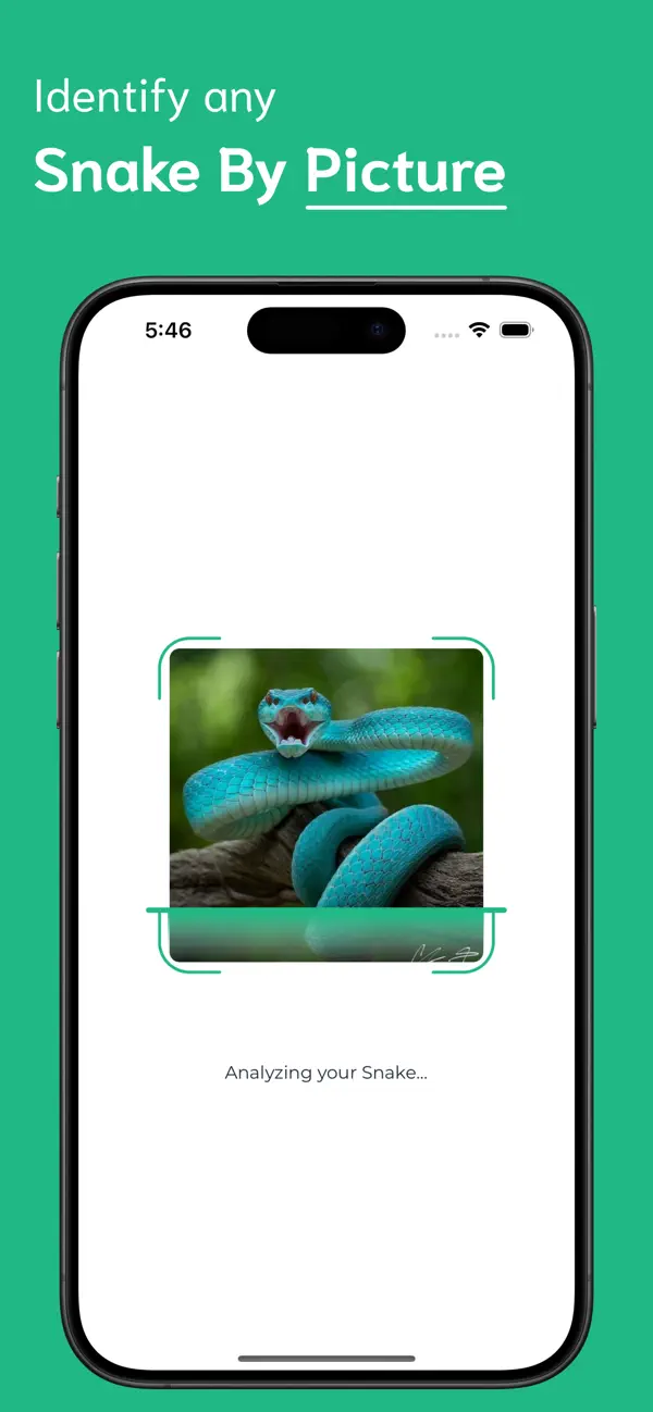 #2. Snake Identifier - SI (iOS) Ved: Ankur Dhameliya
