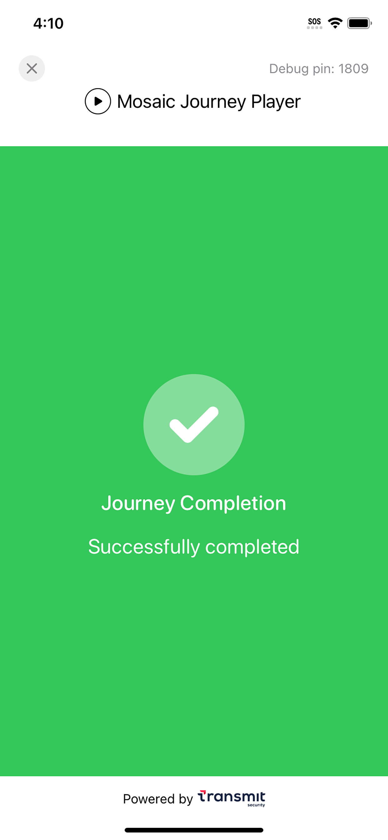 Mosaic Journey Player