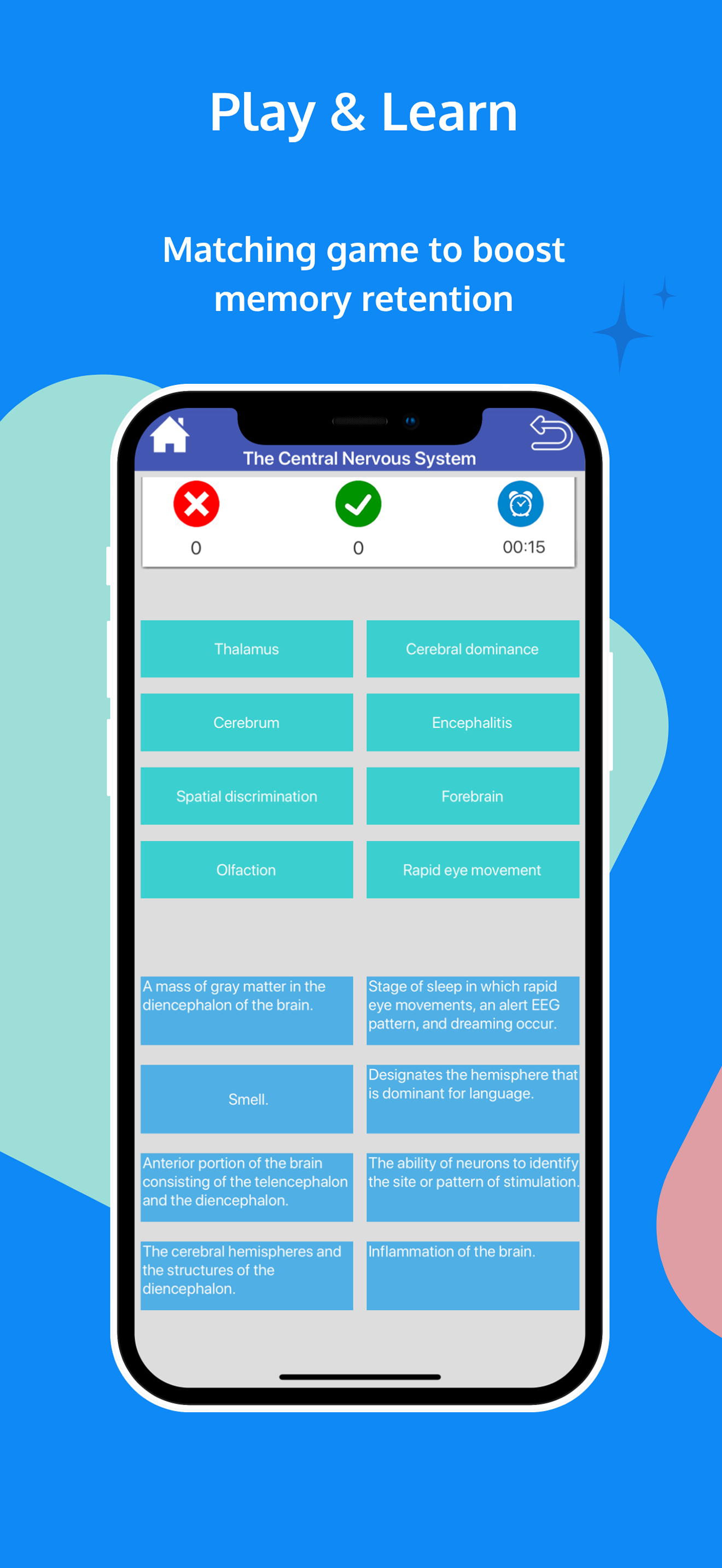 Nervous System Flashcards screenshot 5