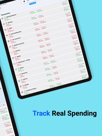 Plan & Spend : Budget Planner iPad screenshot