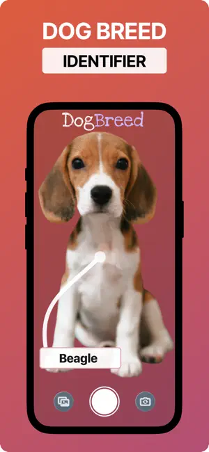 Dog Scanner Breed Identifier + screenshot 1