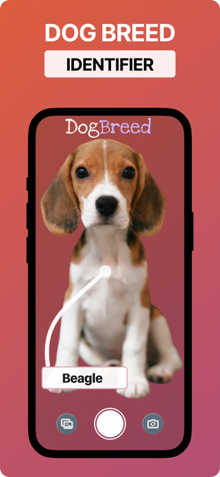 Dog Scanner Breed Identifier + Screenshot 1 of 4
