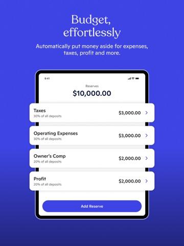 Novo - Small Business Checking ipad screenshot 3