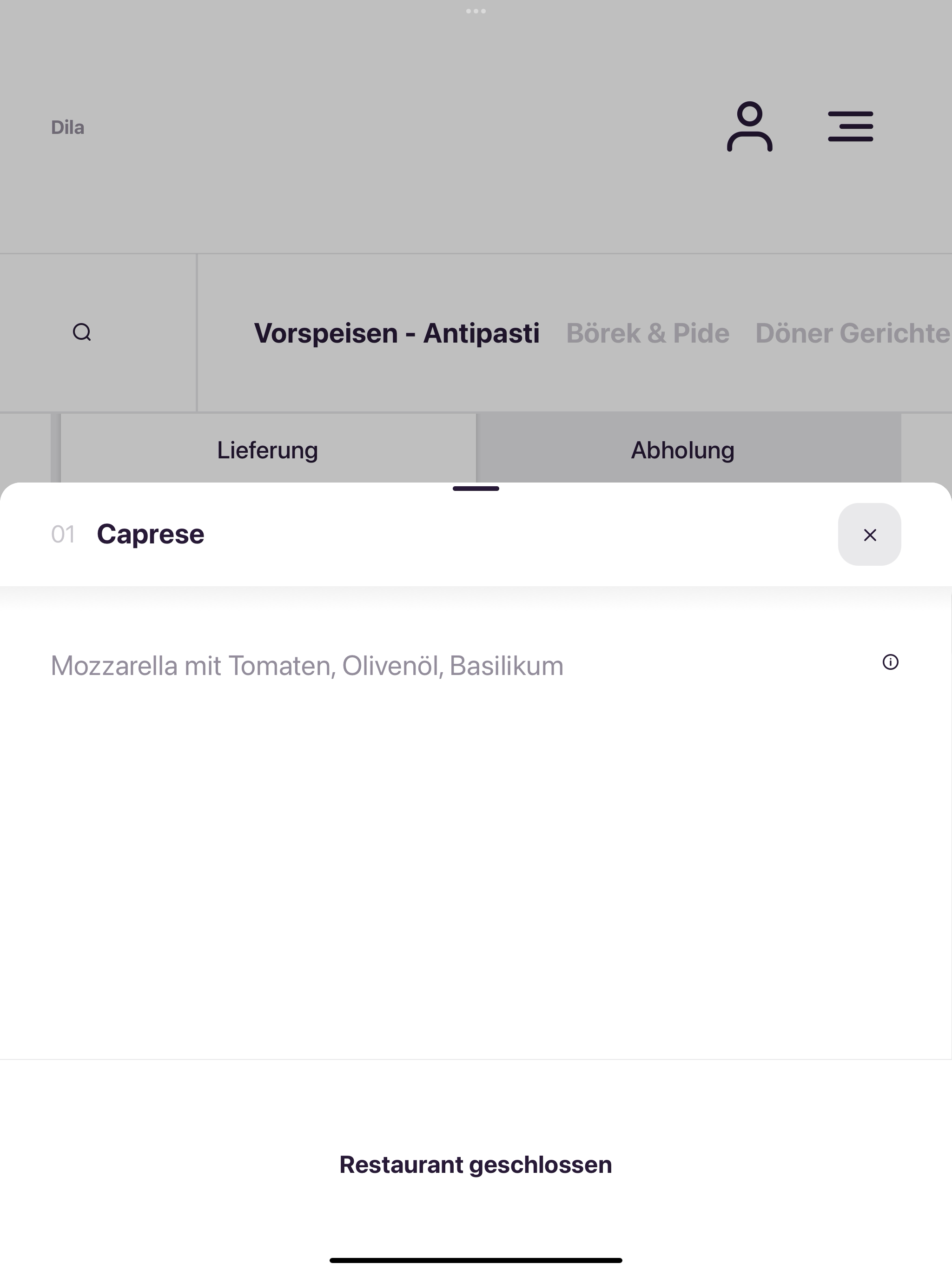 Dila screenshot 8