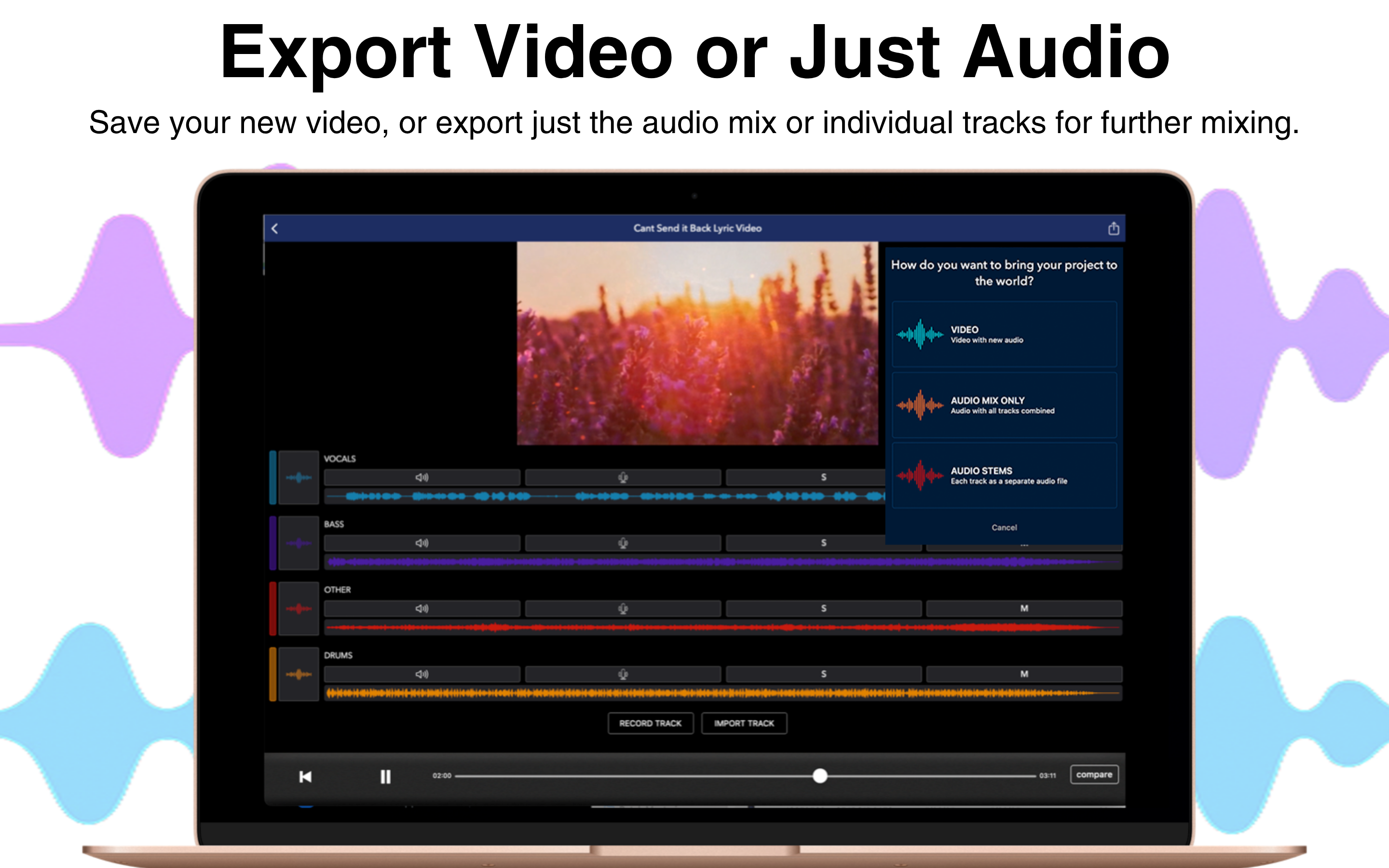 Video Audio Splitter MSV Remix