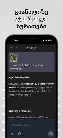 Mypen.ge iPhone screenshot