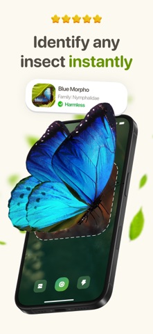 Bug Identifier: Insect Scanner Screenshot 1 of 4