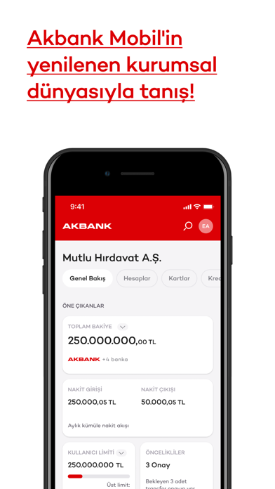 Akbank Mobile Screenshot