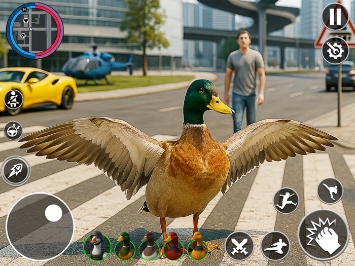 Duck Life In The City