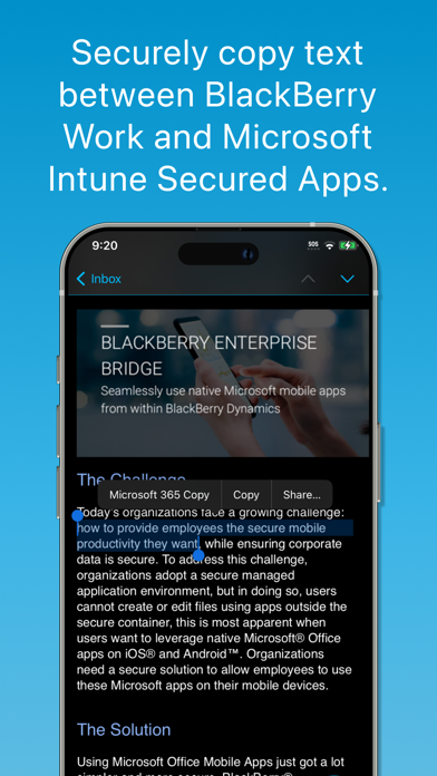 BlackBerry Enterprise BRIDGE Screenshot