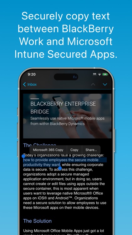 BlackBerry Enterprise BRIDGE screenshot-3