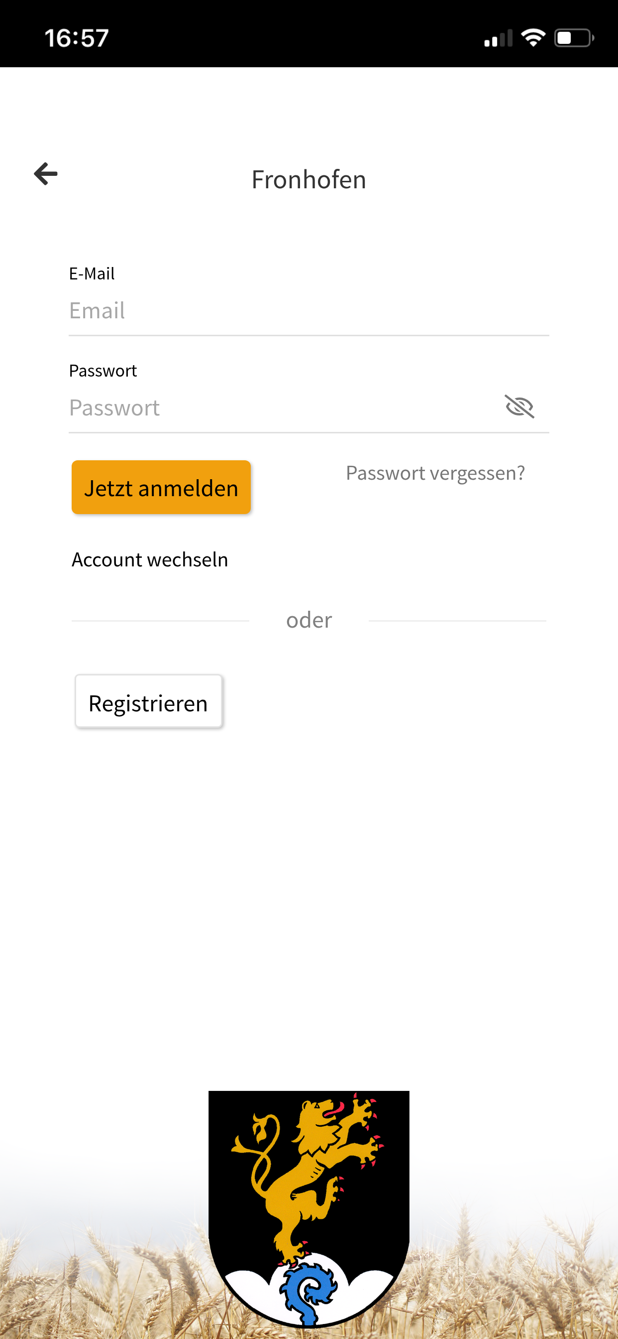 Fronhofen screenshot 4