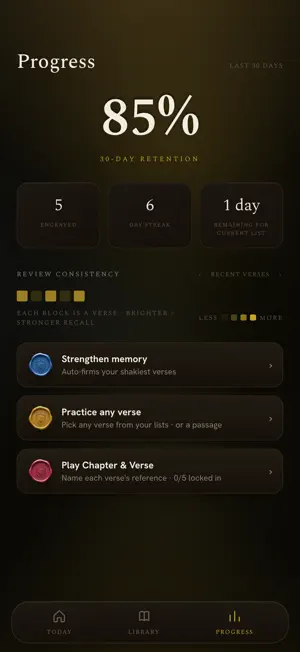 Engraved: Voice Bible Memory screenshot 4