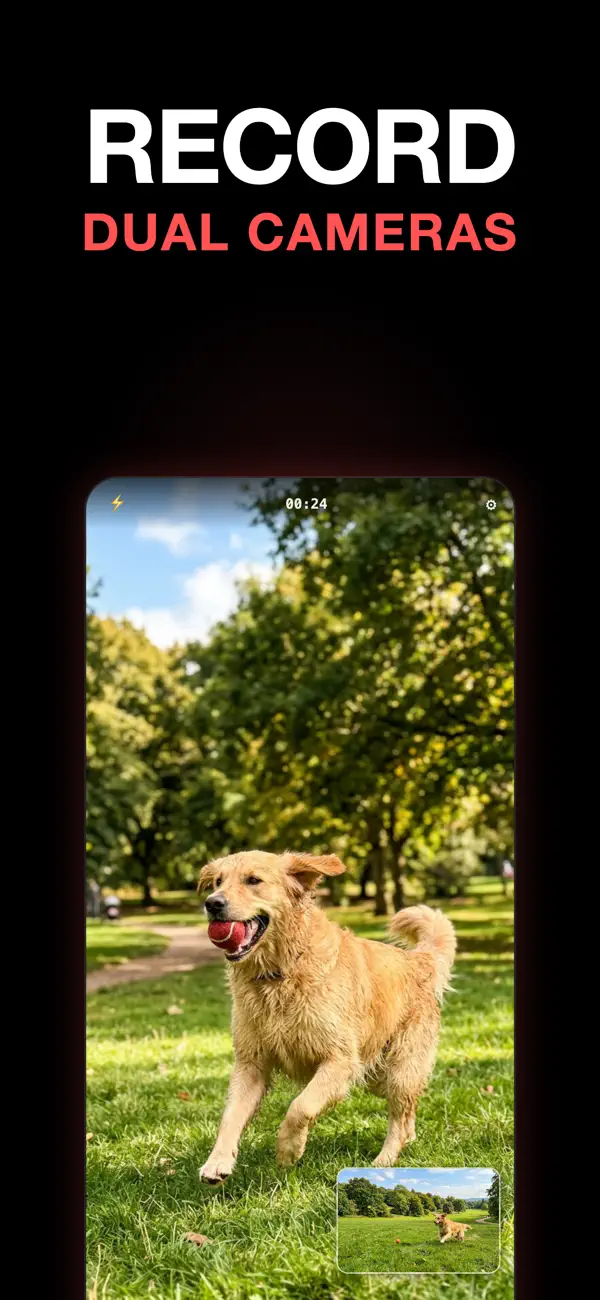 Screenshot #1 pour Dually Pro