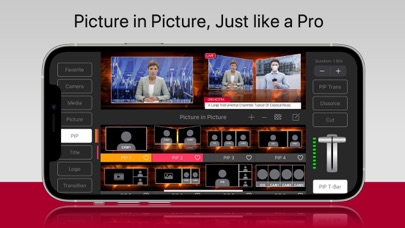 TopDirector Screenshot