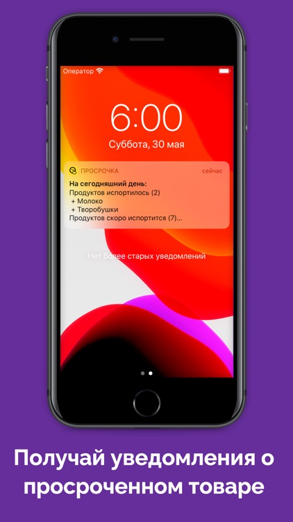 Просрочка screenshot-3