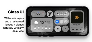 SOMA : Desktop Control Display screenshot