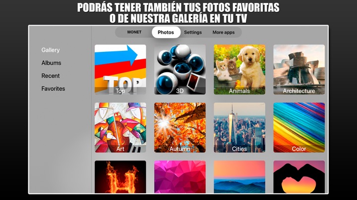 Captura de pantalla de la aplicación