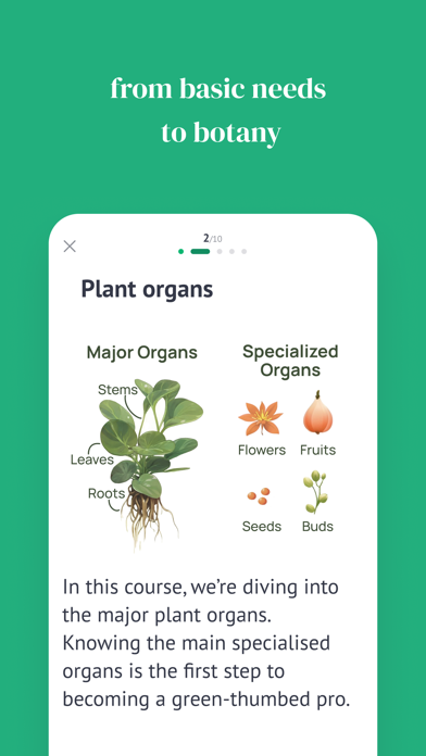 Planton Easy Plant Care Screenshot